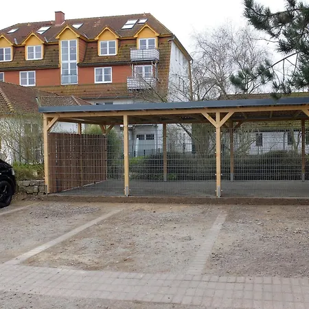 Strandläufer - Kleinsorge Warnemünde
